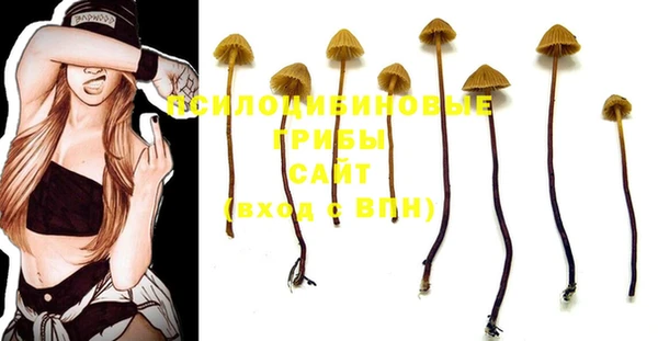 PSILOCYBIN Осташков
