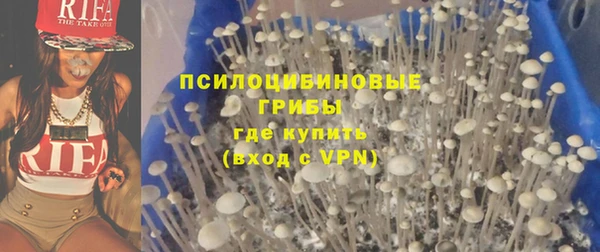 PSILOCYBIN Осташков